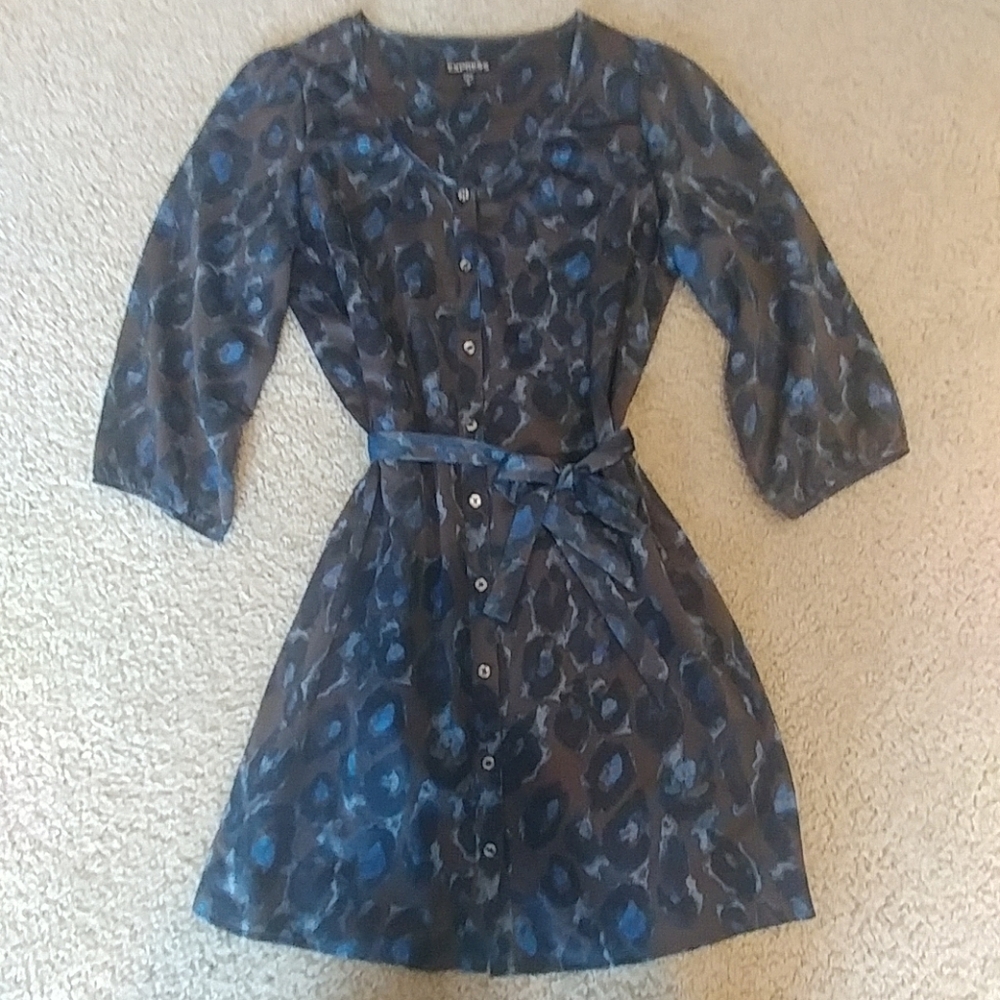 Satin Shirt Dress
